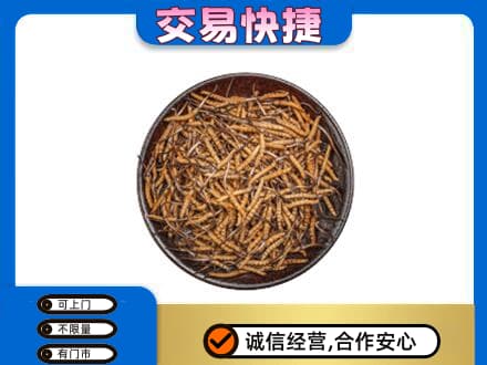 呼伦贝尔高价回收散虫草